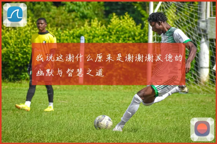 我说这谢什么原来是谢谢谢泼德的幽默与智慧之道
