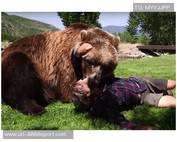 熊出没惊险一幕前马竞前锋科雷亚抱女儿遭遇野生熊袭击 熊出没惊险一幕前马竞前锋科雷亚抱女儿遭遇野生熊袭击